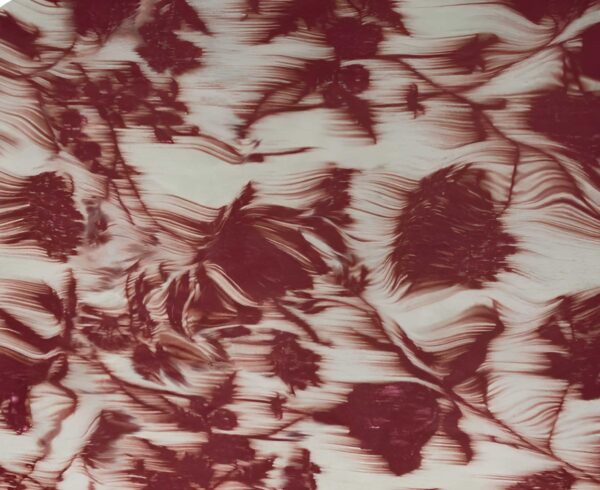 Mahogany Kinetic Sweep