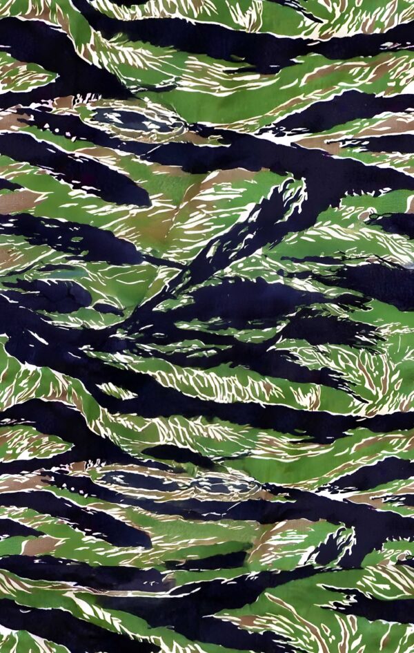 Jade & Obsidian Tiger-Stripe Fragment