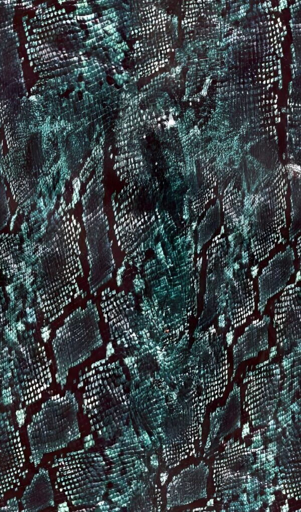 Deep-Jade & Obsidian Integumentary