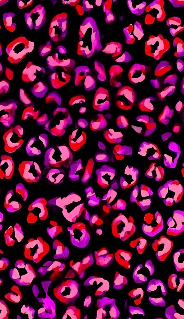 Solar-Fuchsia & Obsidian Rosette Fragment