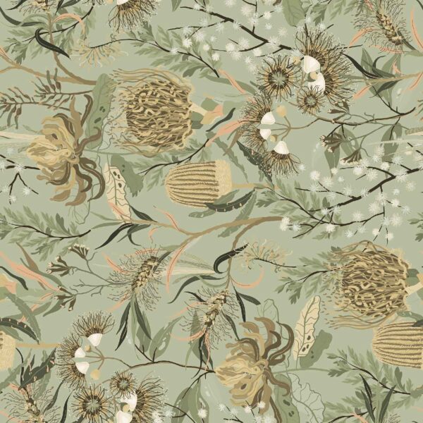 Indigenous Flora & Banksia