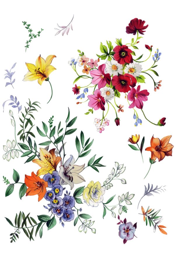 Prismatic-Poppy Assemblage