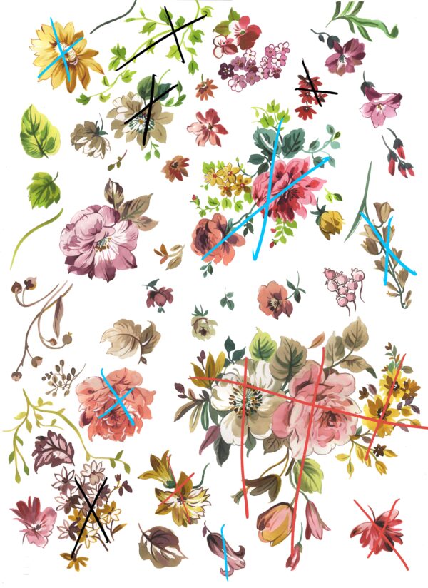 Marked-Botanical Taxonomy