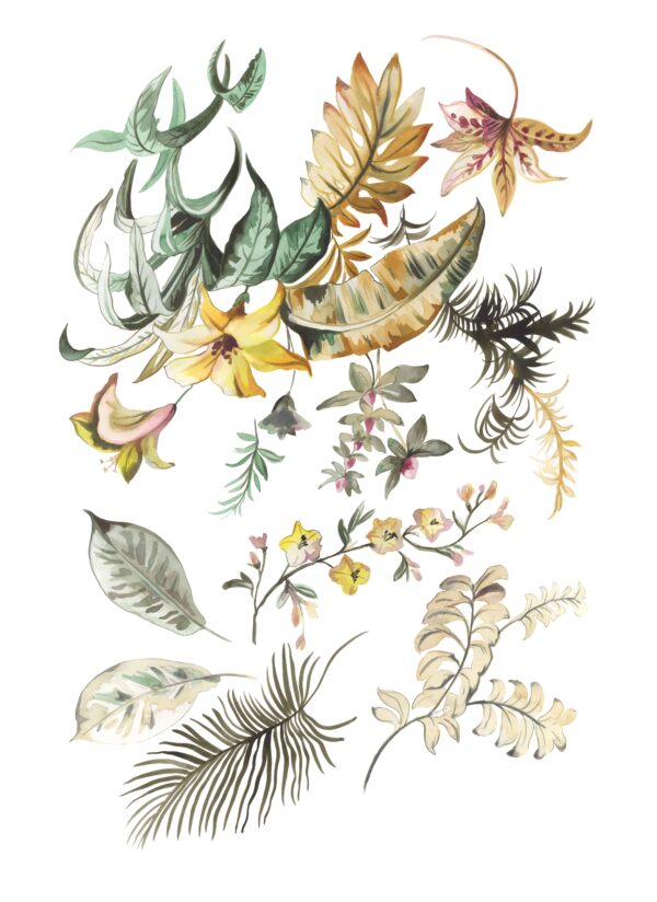 Sienna-Glow Tropical Taxonomy