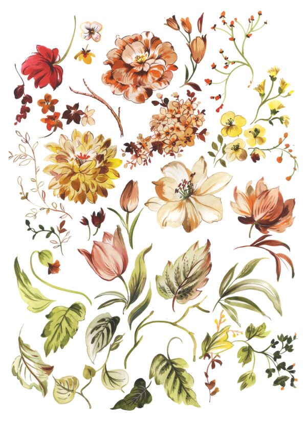 Sun-Stone & Amber Taxonomy