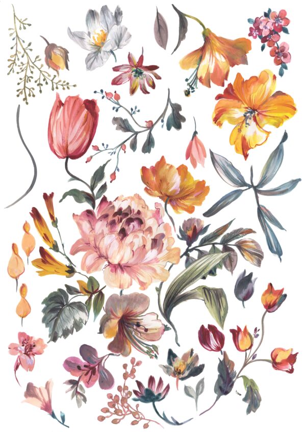 Sun-Stone & Rose-Quartz Botanical Catalog