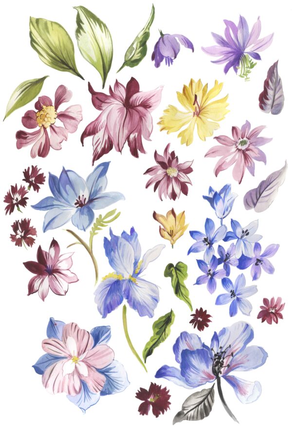 Amethyst & Lapis Botanical Catalog