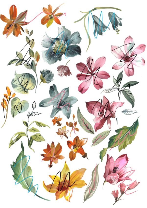 Marked-Sienna & Rose Taxonomy