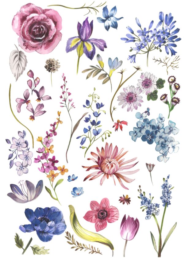 Rose-Quartz & Lapis Taxonomy