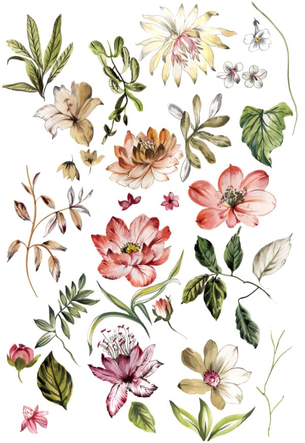 Toasted-Amber & Rose Taxonomy