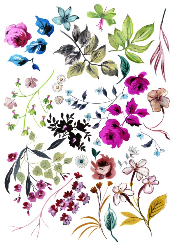 Obsidian-Petal Specimen