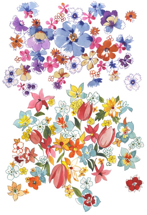 Lapis & Coral Zonal Assemblage