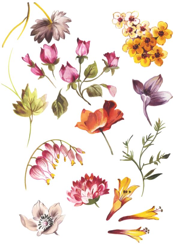 un-Stone & Rose-Quartz Taxonomy