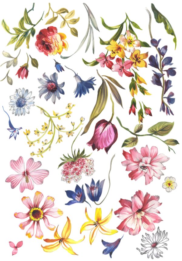 Carnelian & Lapis Botanical Catalog