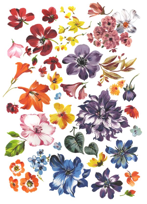 ewel-Quartz & Carnelian Taxonomy