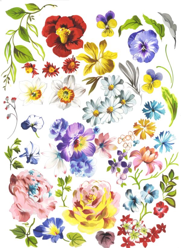 Sun-Stone & Lapis Taxonomy