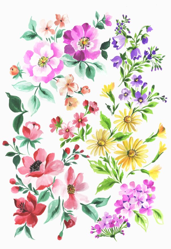 Magenta-Rose & Citrine Taxonomy