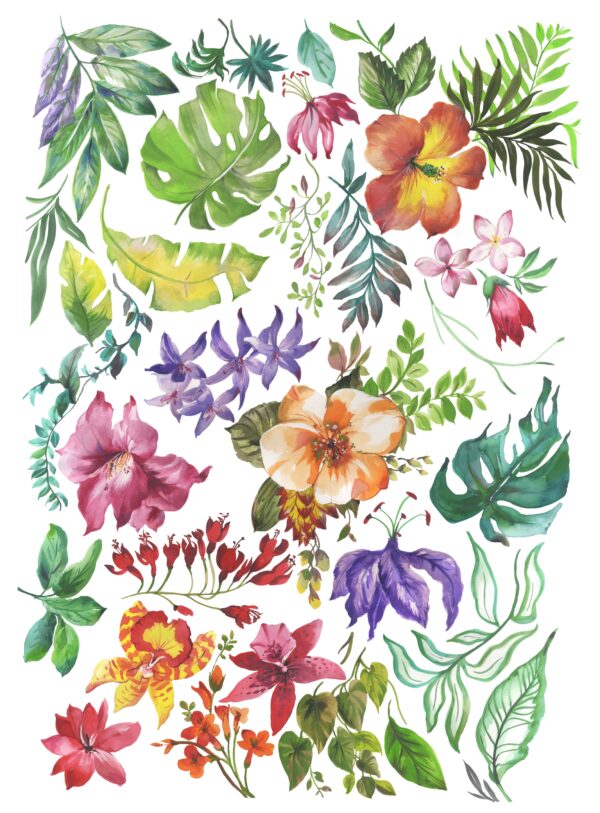 Monstera & Tropical Quartz