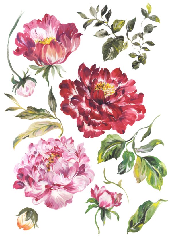 Crimson & Rose-Quartz Peony