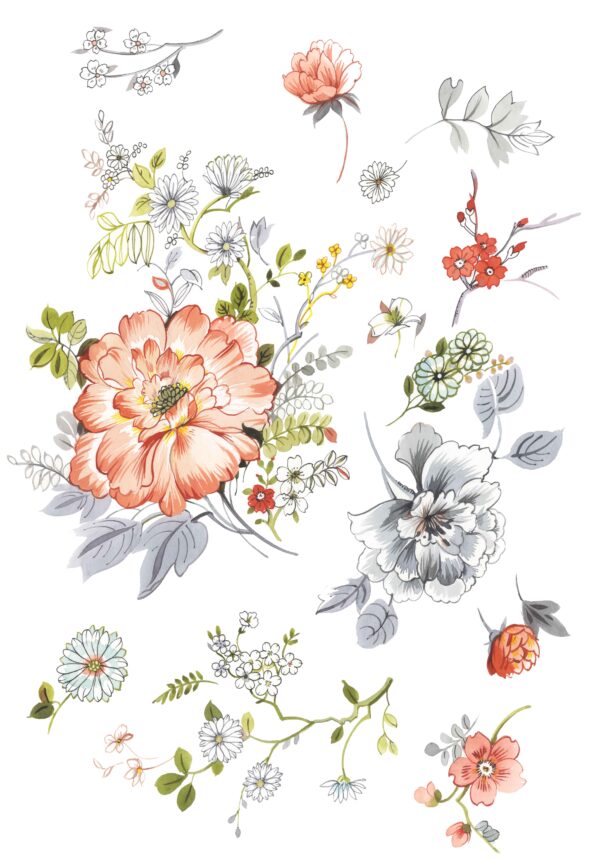 Coral & Slate Botanical Taxonomy