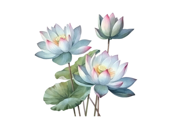 Glacial-Azure & Solar-Magenta Lotus