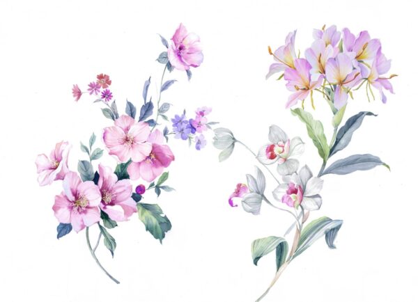 Solar-Magenta & Luminous-Orchid Chintz