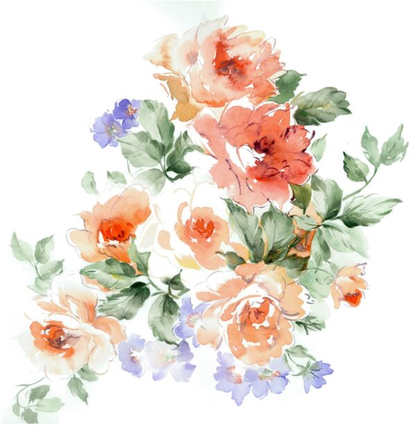 Solar-Tangerine & Glacial-Azure Heirloom Rose